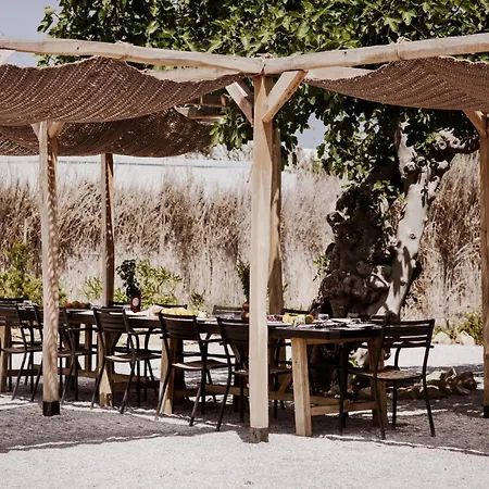 Alero Seaside סקירוס