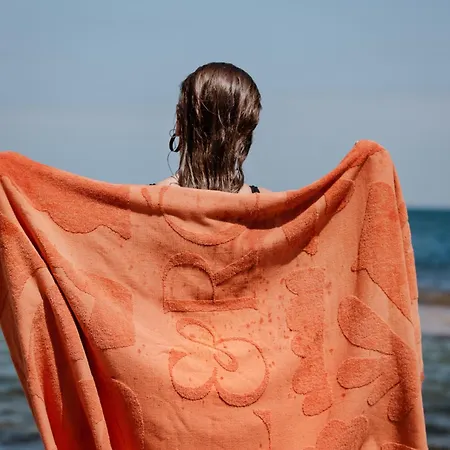 Alero Seaside סקירוס